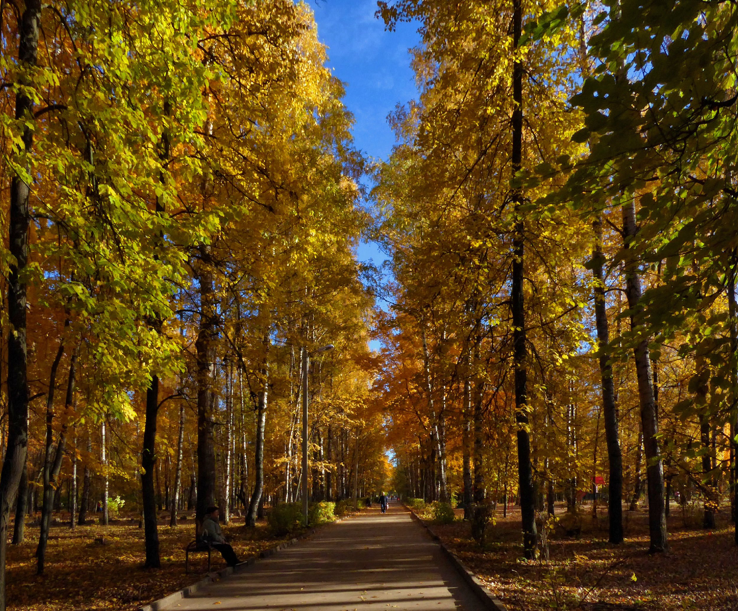 Парк солнечные аллеи екатеринбург где. Город Канаш осень городской парк. Парк Победы Омск осень. Осенний Омск парк ЦПКО. Парк Победы Уфа.