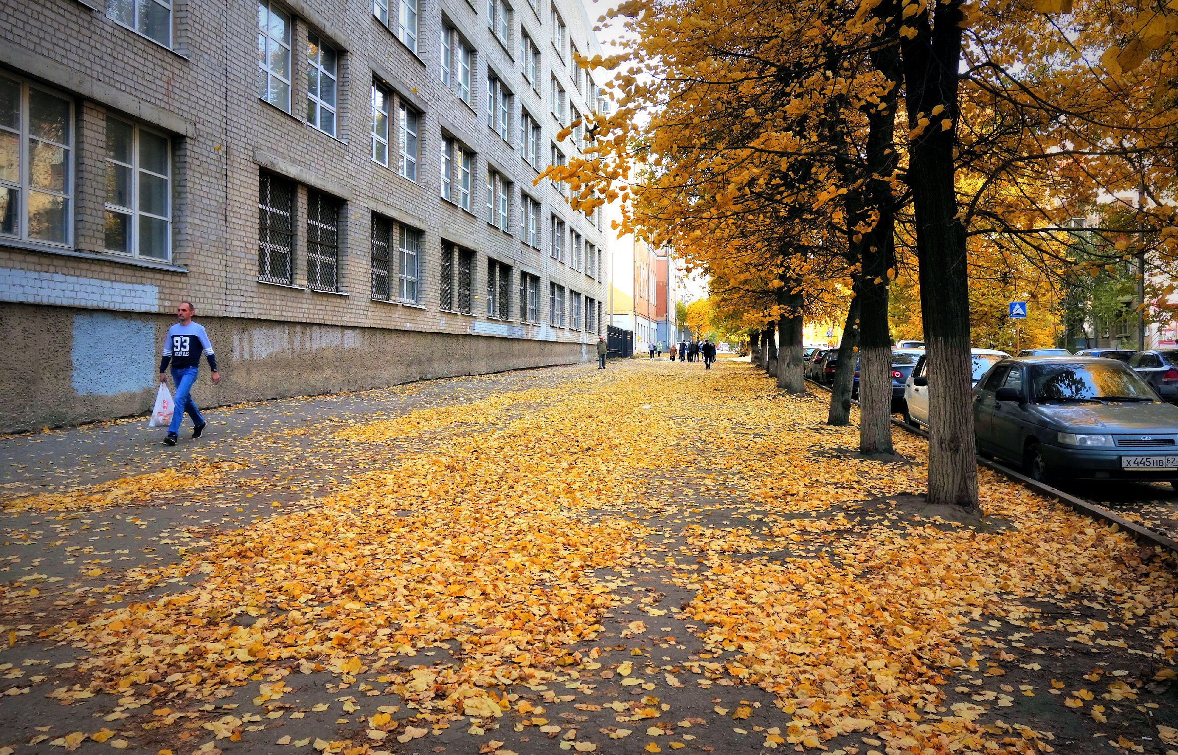 Листопад 2006. Листопад в городе. Октября в городе листопад. Осень листопад улицы. Листопад в городе картинки.