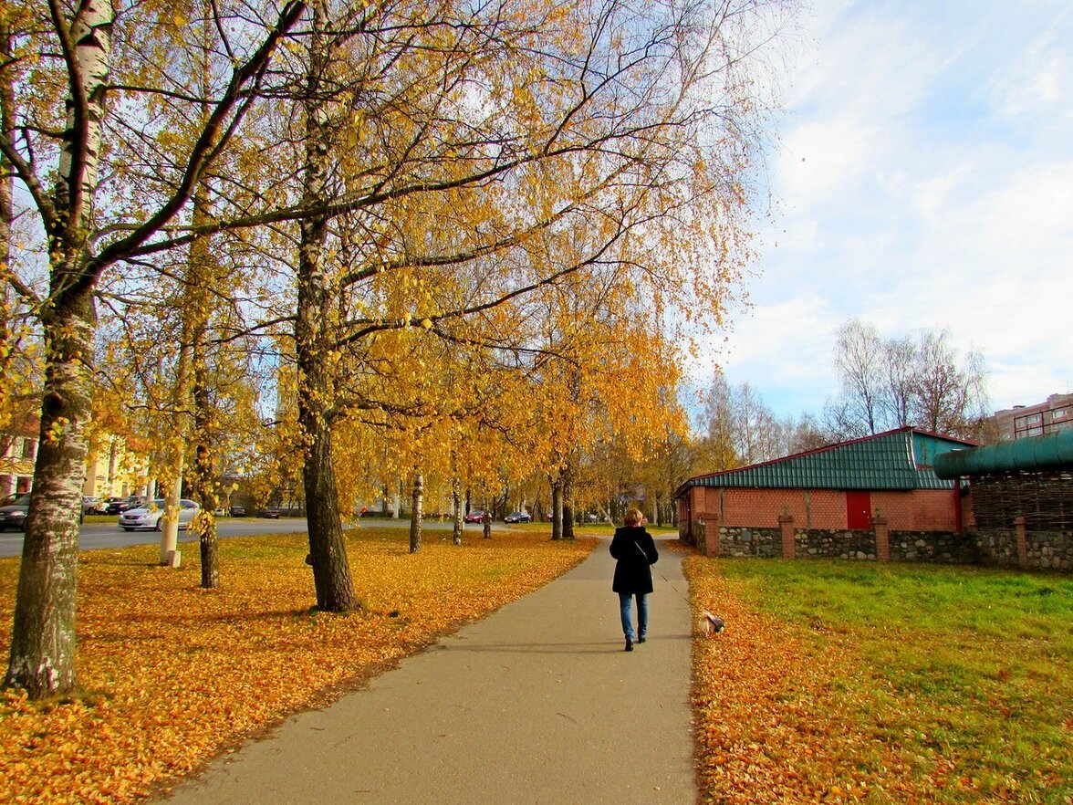 Кострома Осенью Фото