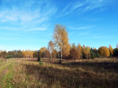 Волжский берег