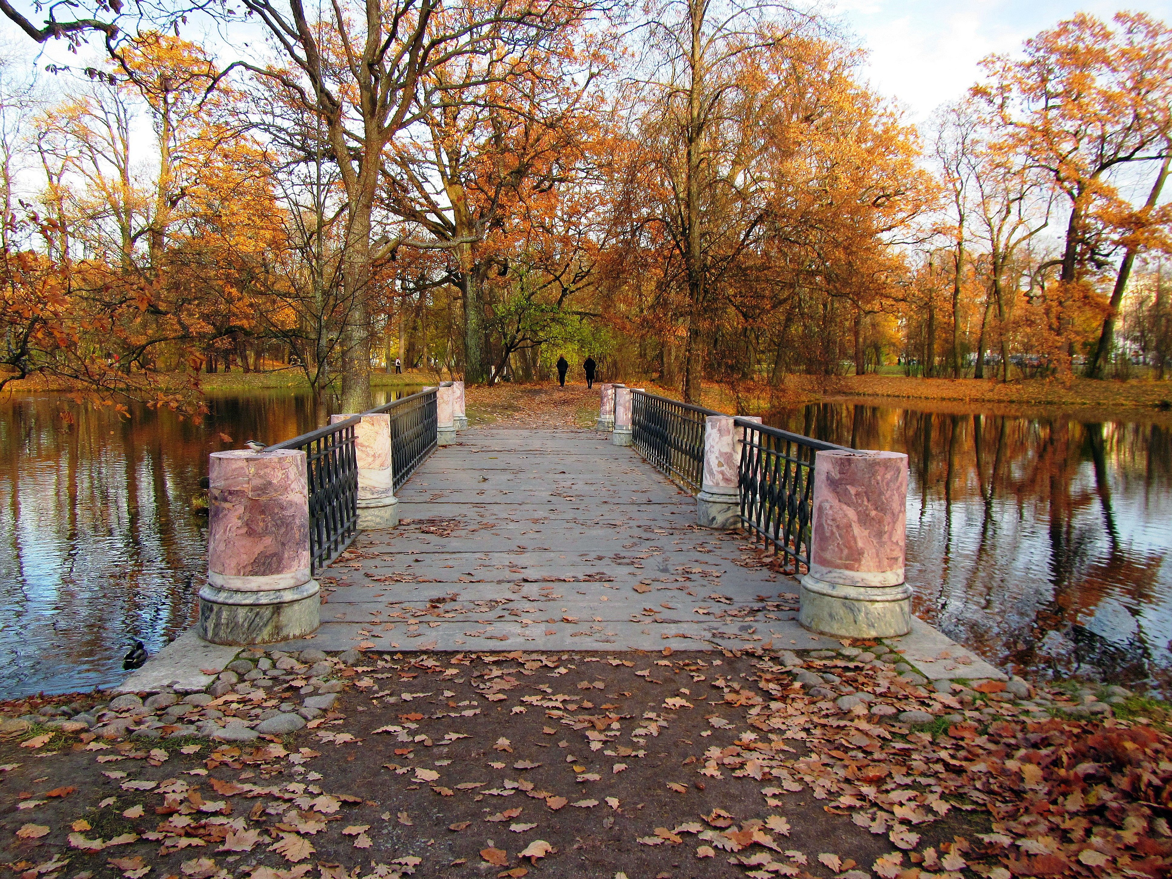 санкт петербург александровский парк