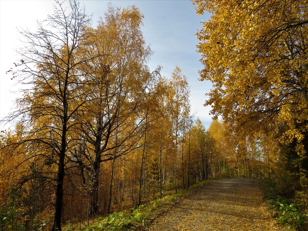 Подпись К Фото Про Октябрь