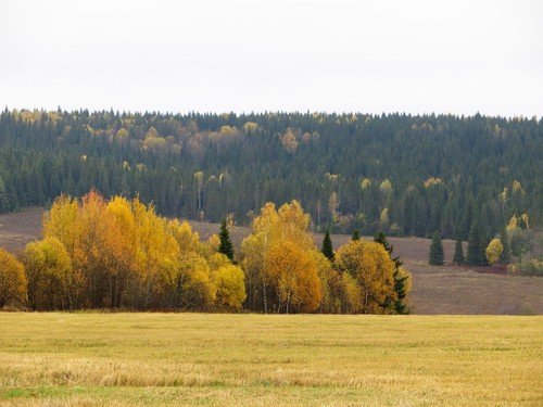 Осень