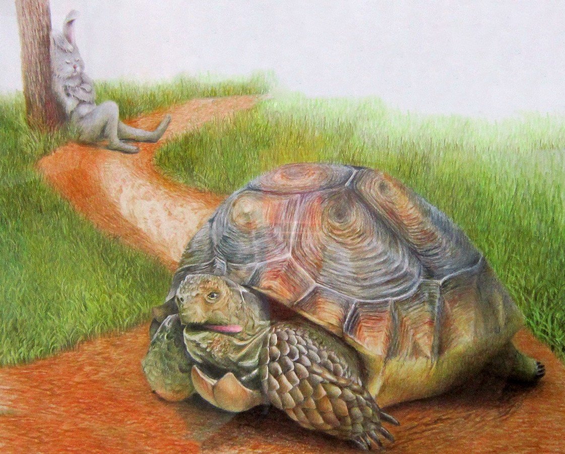 Читать сказку черепаха. Лафонтен заяц и черепаха. Иллюстрация заяц и черепаха. Заяц и черепаха рисунок. Заяц и черепаха басня Крылова.