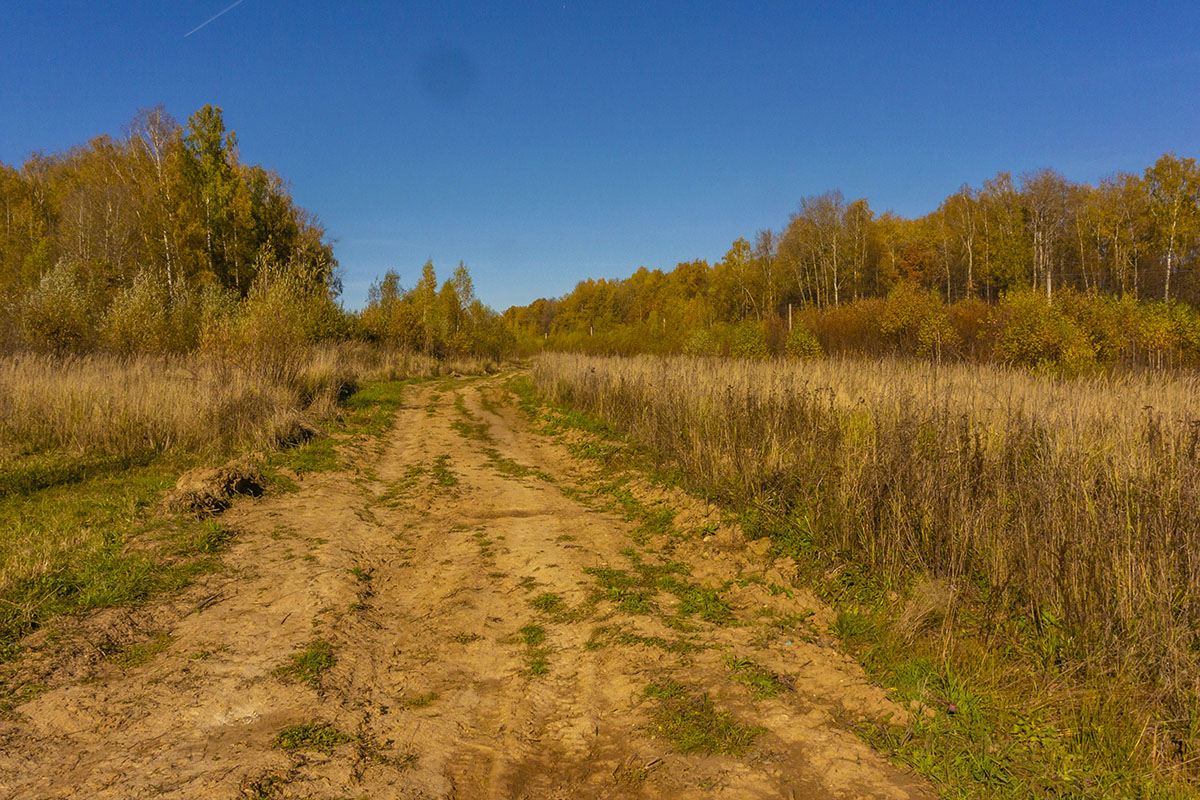 Лесу 3 отзывы. Иду лесом Братцево. Лесомшли. Пошел лесом. Деревня была где-то за лесом если идти.