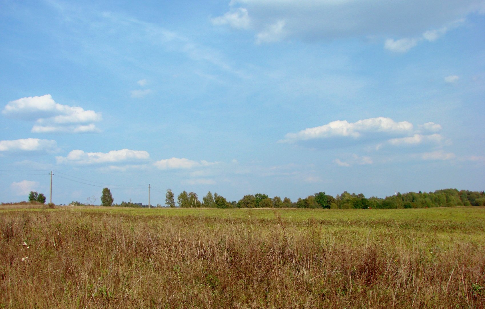 Село Раздолье Крым. Раздолье Кемеровская область.