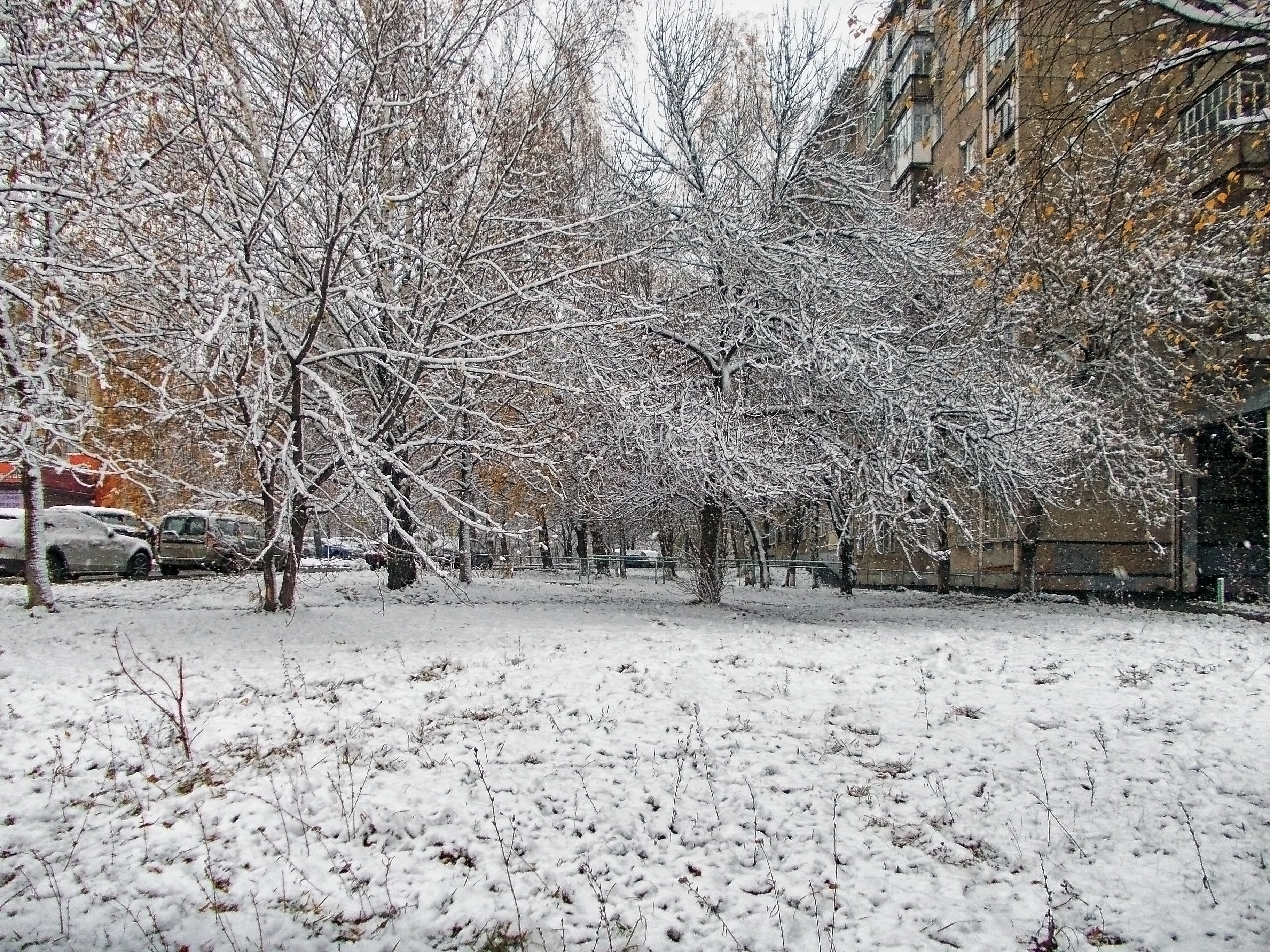 Первый снег в городе фото