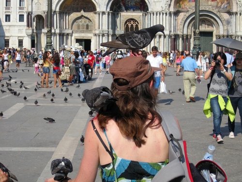 Венеция. Девушка с голубями
