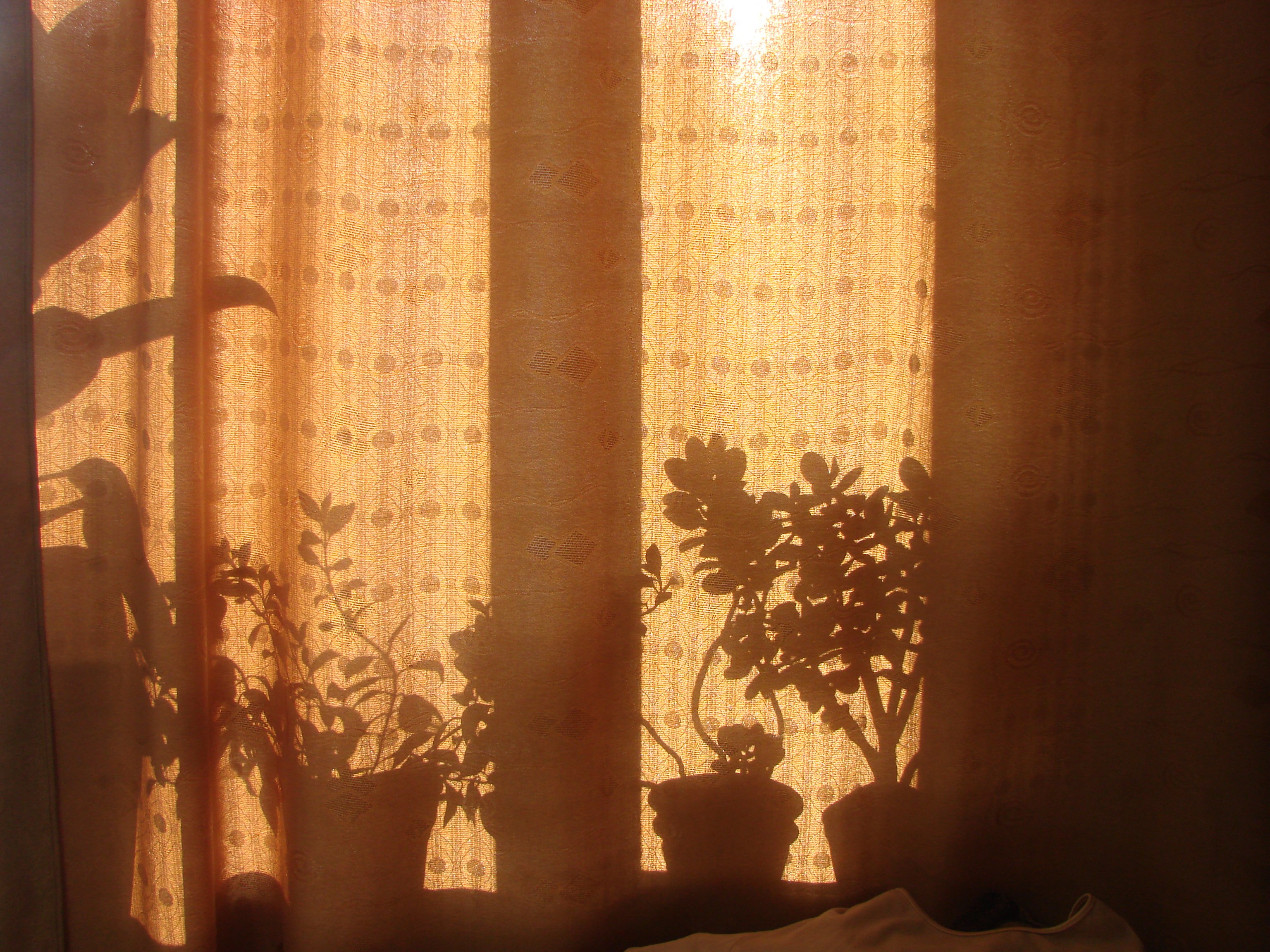 Солнце сквозь шторы