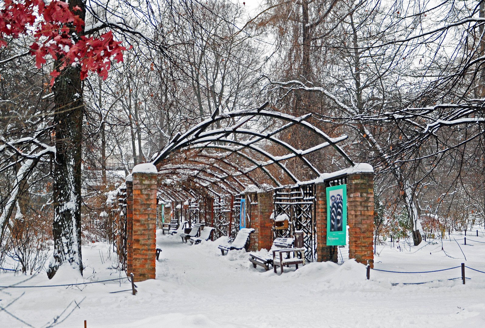 ботанический сад москва зимой