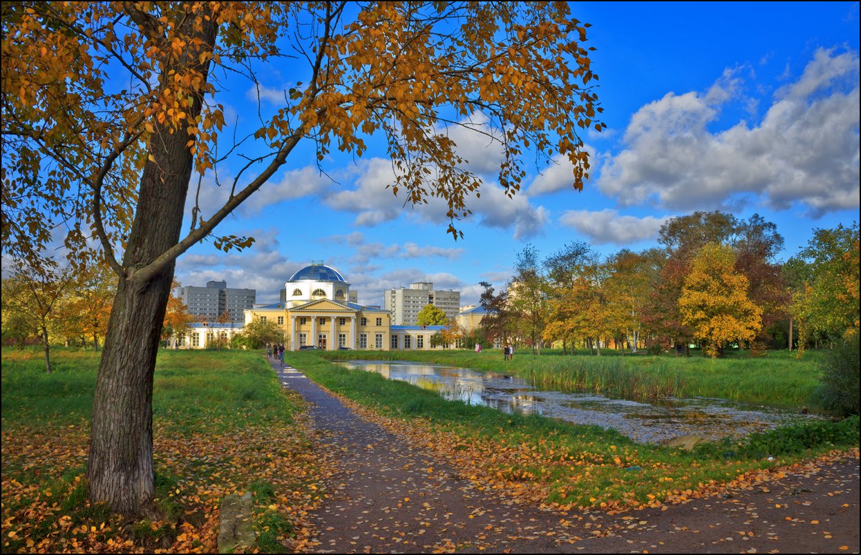 Александрино парк в санкт петербурге