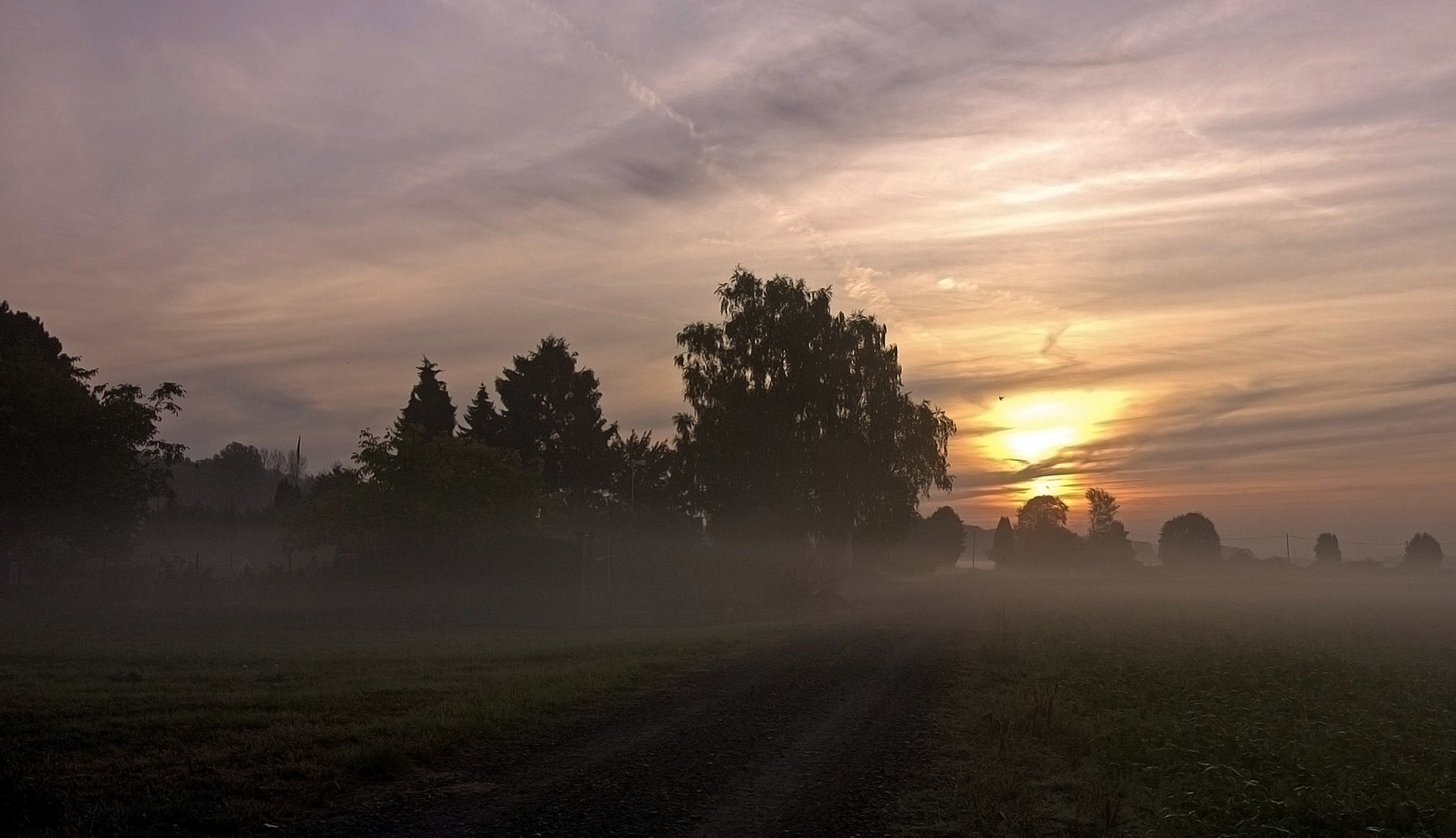 Утро туманное автор. Туманное утро фото. Затуманенное фото.