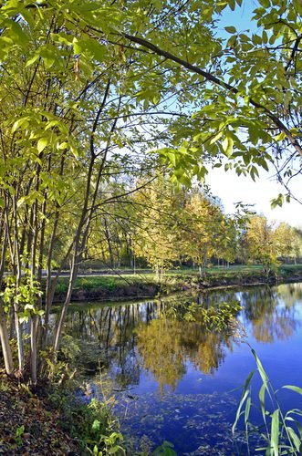 Осенний солнечный день в парке