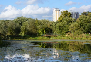 Городской пейзаж