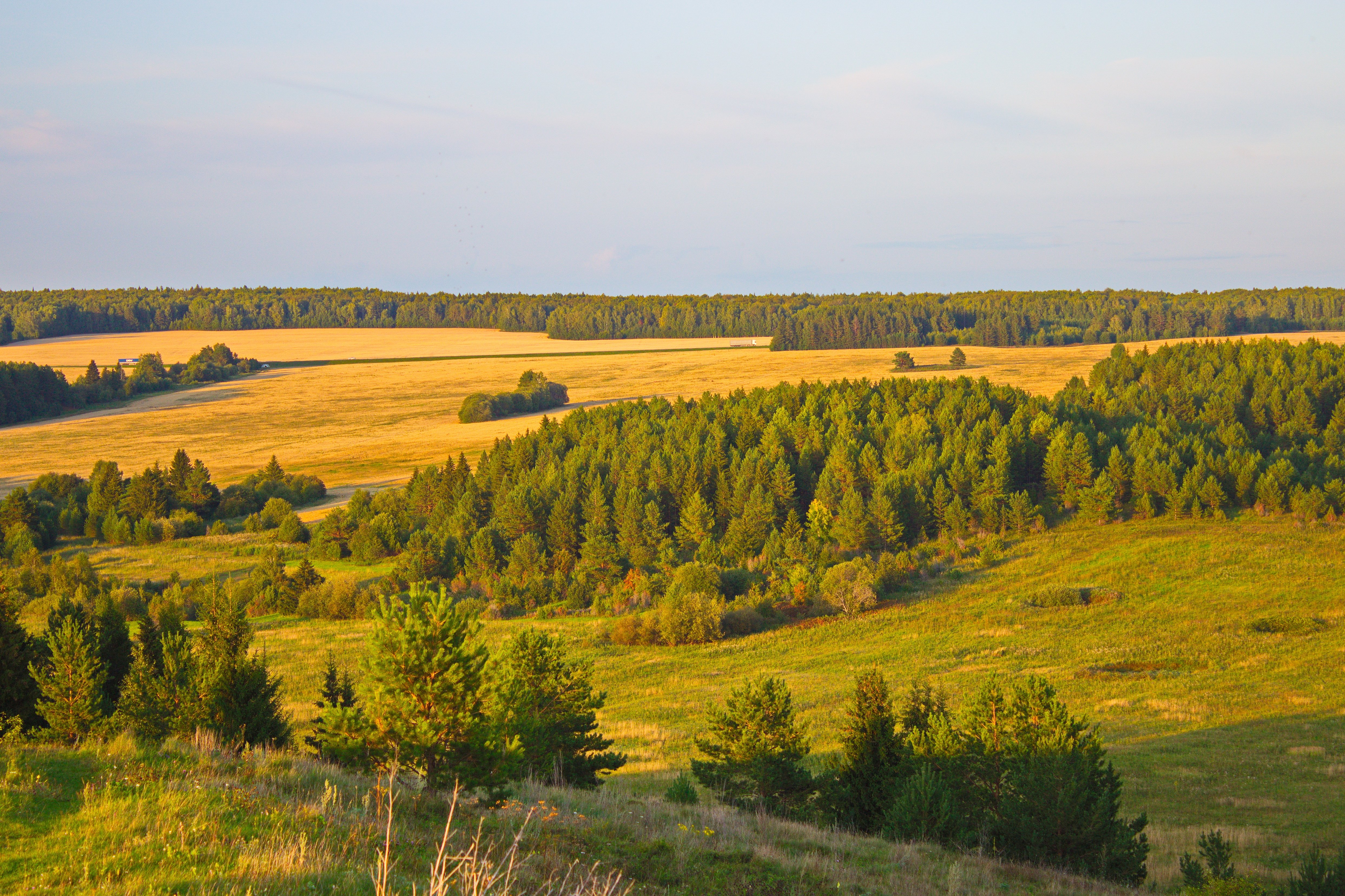 Лесостепь нижегородской области фото