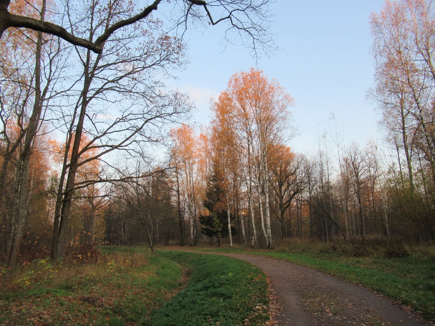 Баболовский парк фото