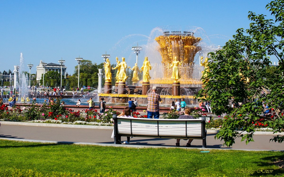 Вднх человека. Пиротехника фонтан дружбы народов. Фонтан дружбы народов Адлер. Фонтан дружбы Волгоград. Фонтан дружбы народов на ВДНХ фото.