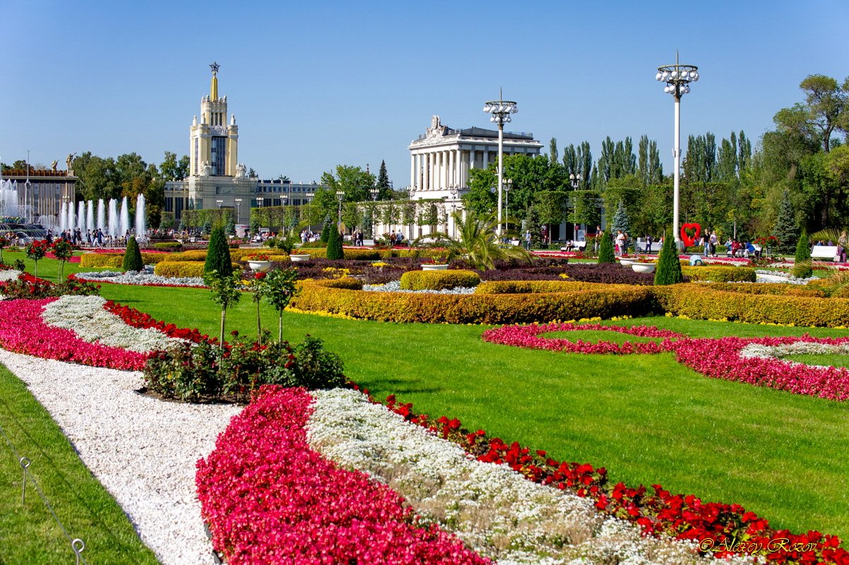 Самые красивые парки москвы весной фото