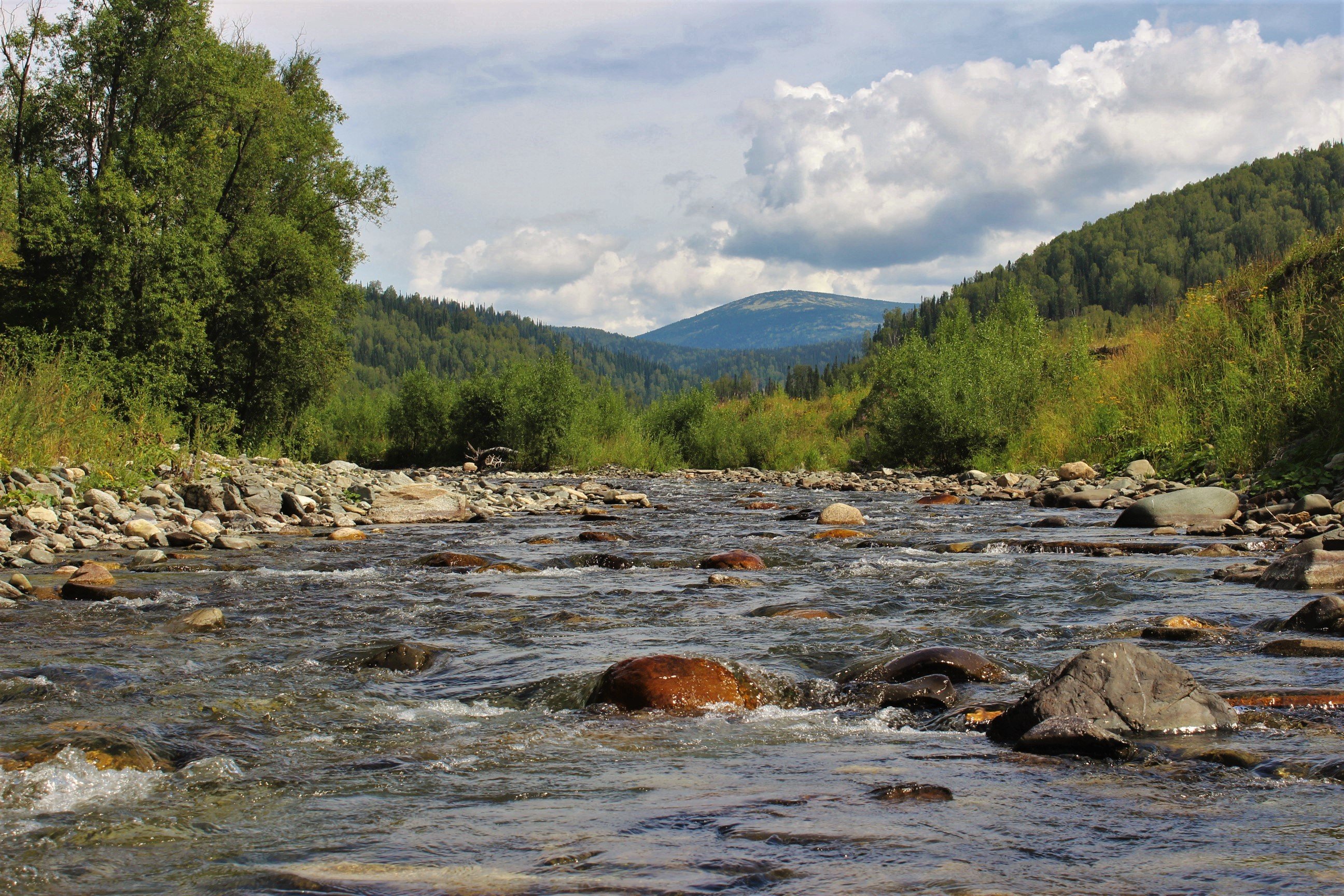 Река уса самарская область фото