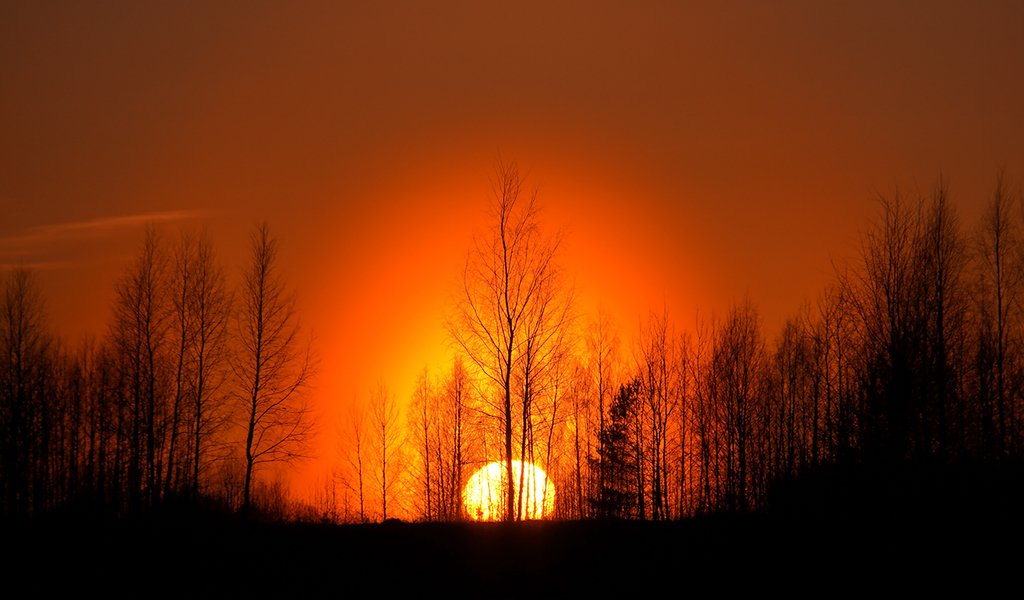 Край неба алеет светлеет воздух. Как выглядит закат солнца в новом Дурулгуе. Праздник нового солнца на Яновом хуторе.