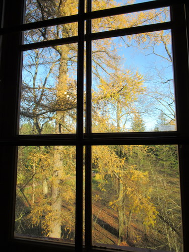 Осень за окном...