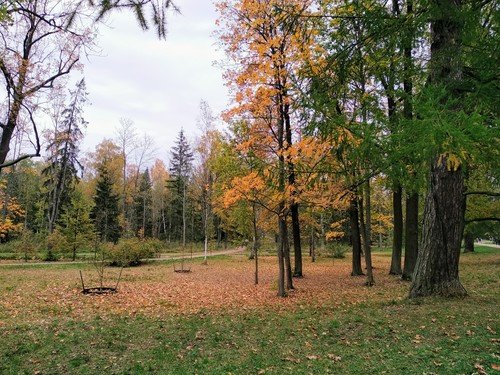 Осень в Александровском парке