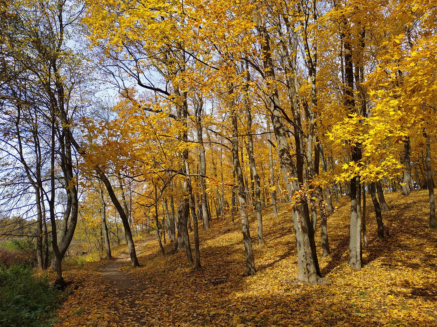 Осень близко. Парк Богородицк осень. Наш парк Богородицк осенний. Богородицкий парк осенью фото. Фото Богородицк осень.