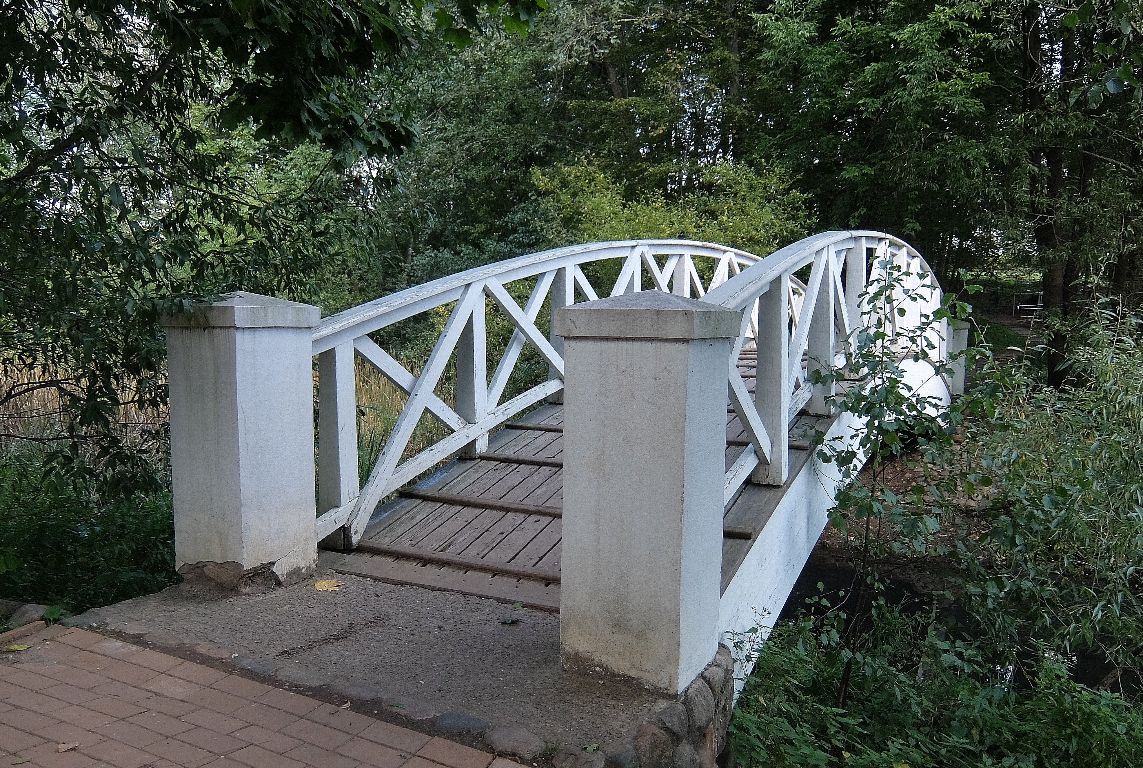 Горбатый мостик Остафьево