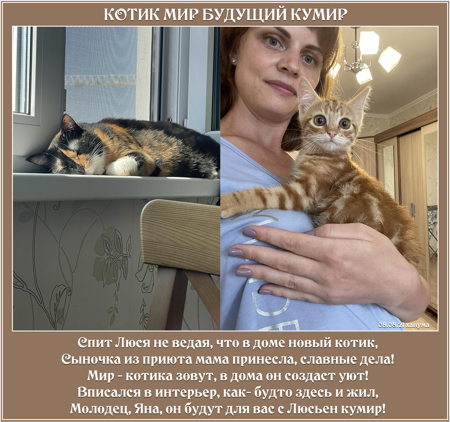 Мир котик. Мир это котик. Весь мир это котик. Весь мир это кот. Весь мир это котик играющий в Австралию фото