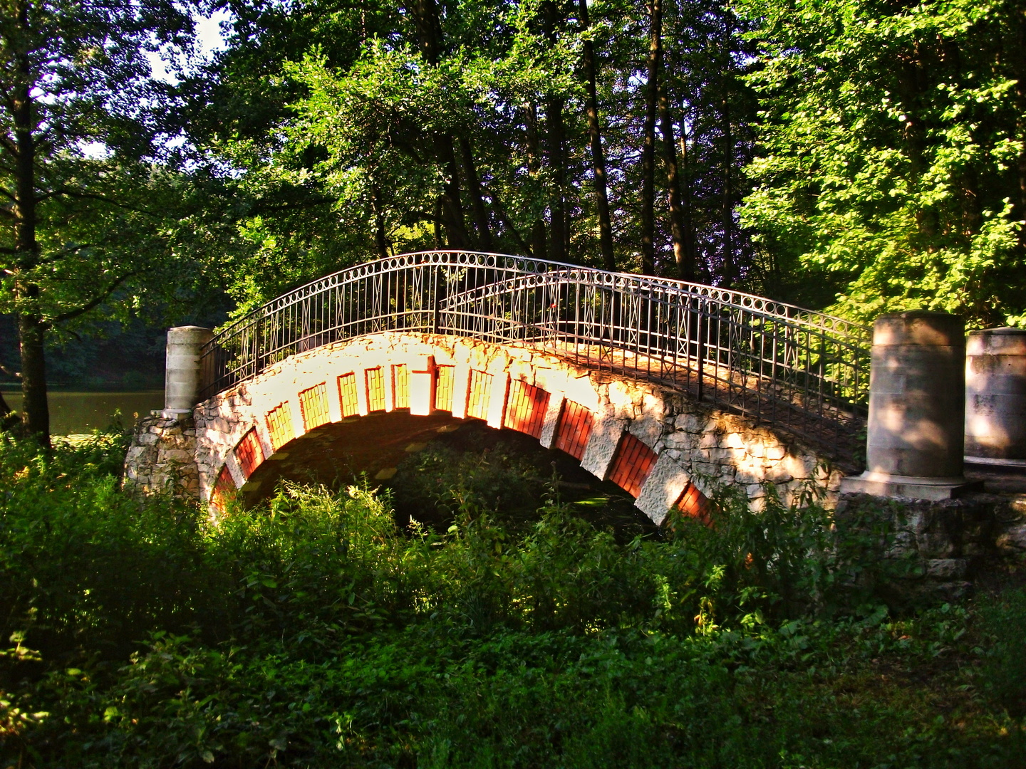 парк кузьминки мост