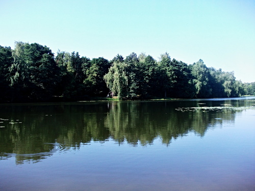 Пейзаж с отражением