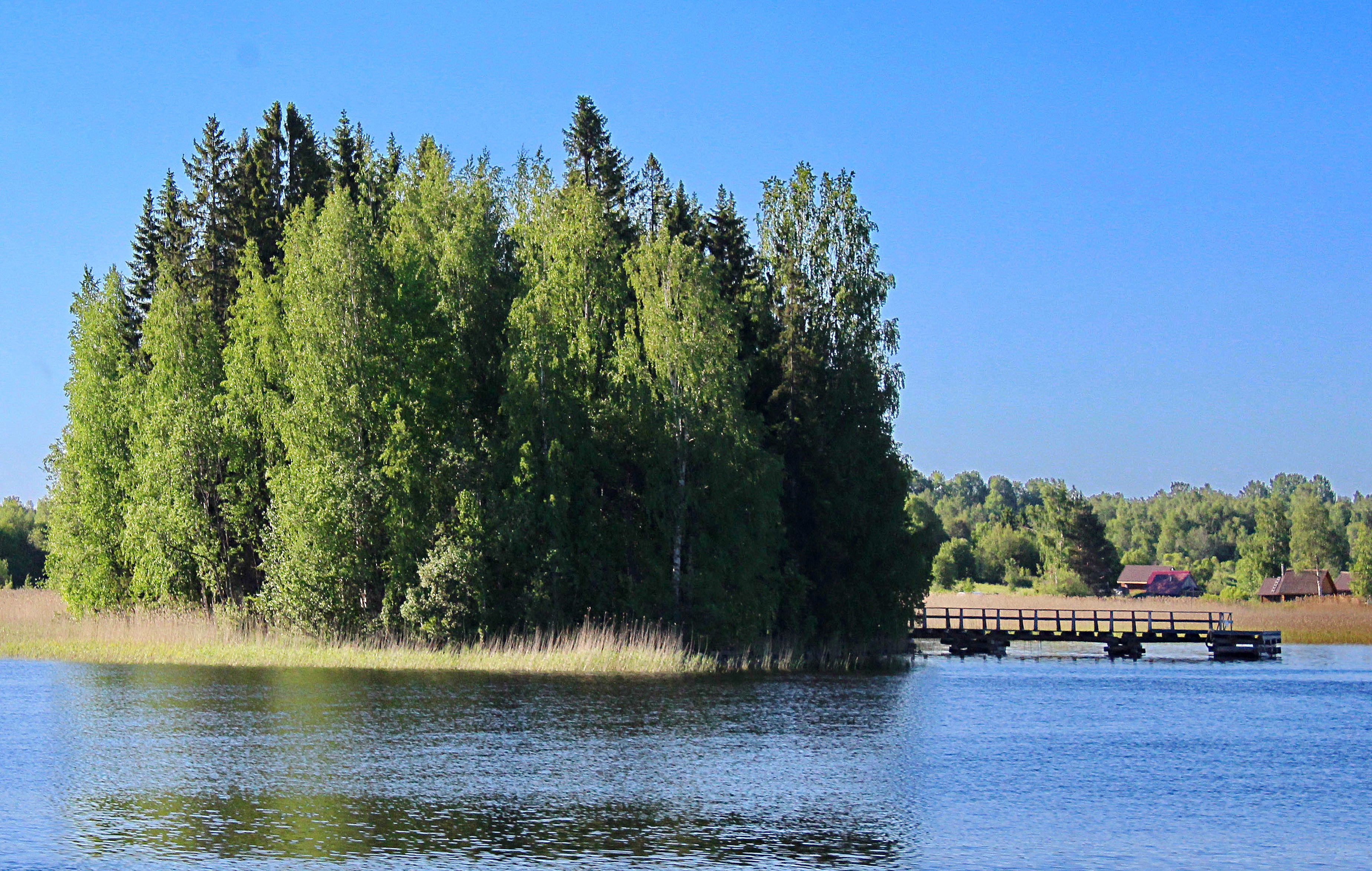 Река свирь озеро. Свирь Ленинградская область. Река Свирь. Озеро Свирь.