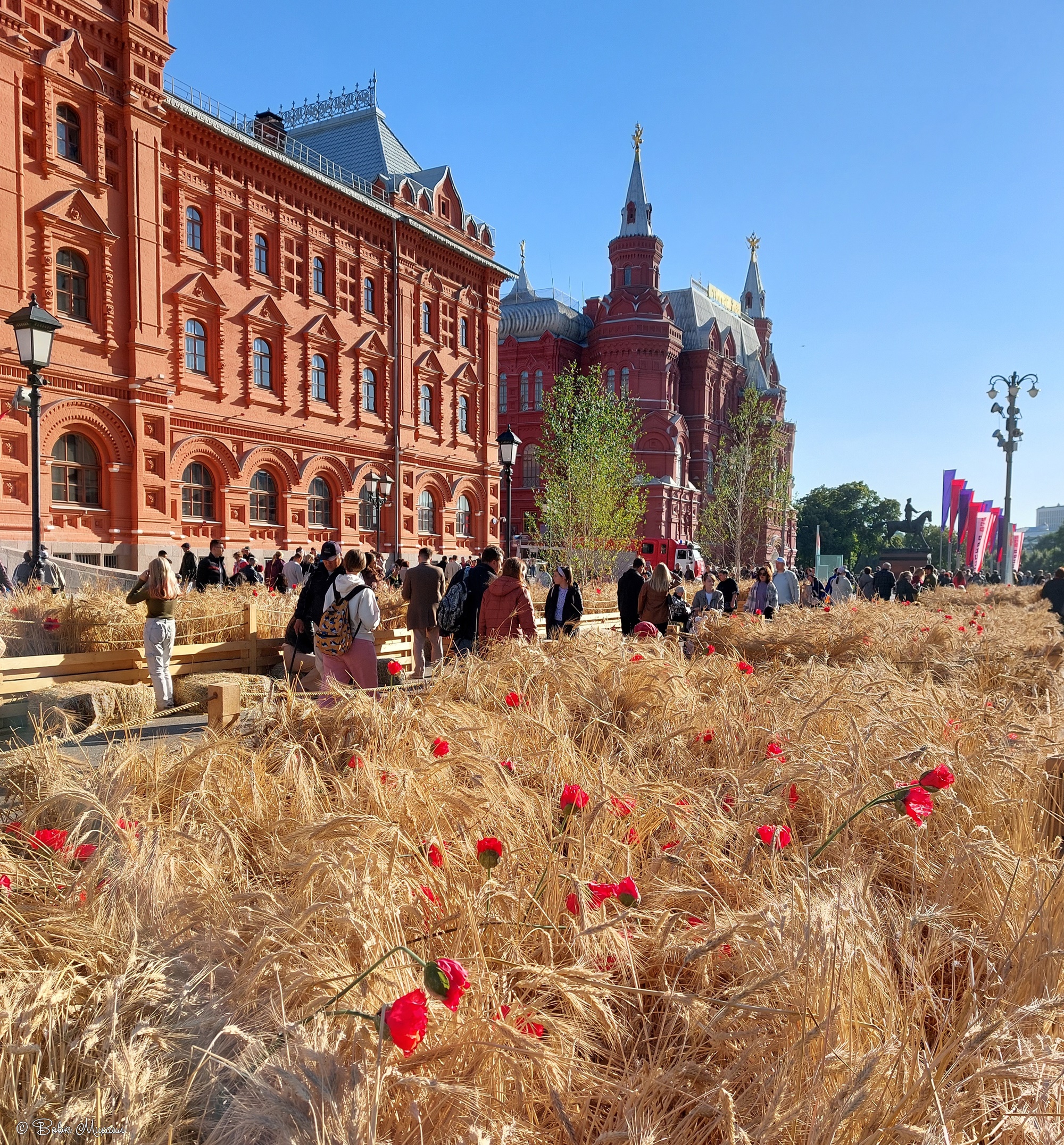 сегодня в москве днем