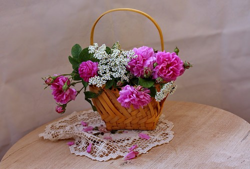 корзиночка с цветами шиповника