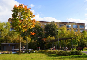 Осень в городе
