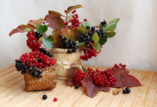 композиция с ягодами калины и черноплодной рябины