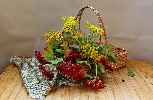 корзиночка с калиной и пижмой