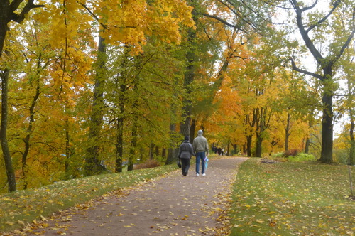 Осенний парк