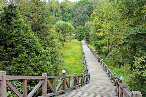 Гремячий ключ,дорожка к купальням