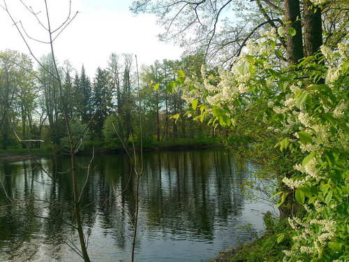 Елагин, весна