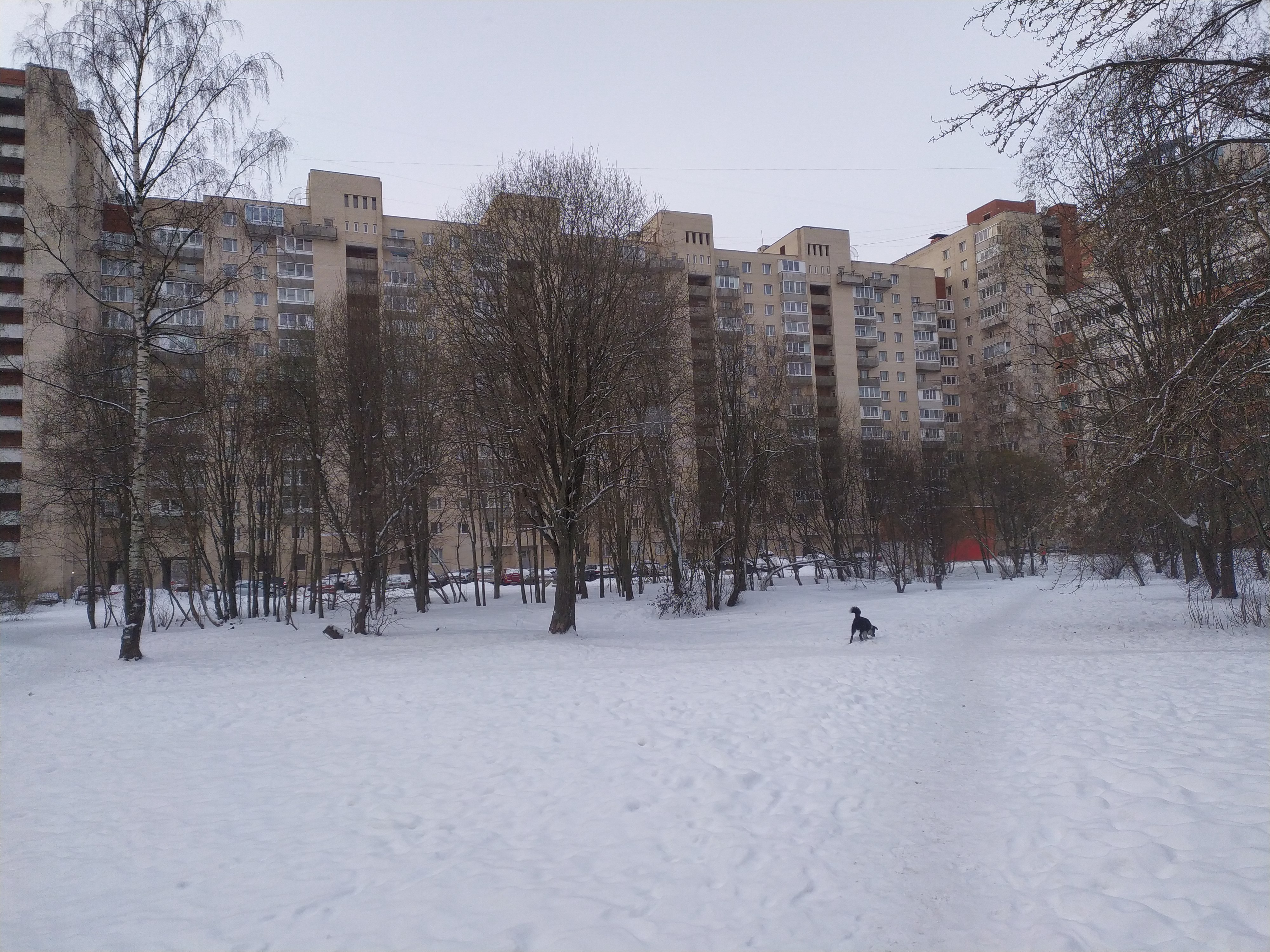 Выборгское шоссе 23к2 Выборгское шоссе 23к2