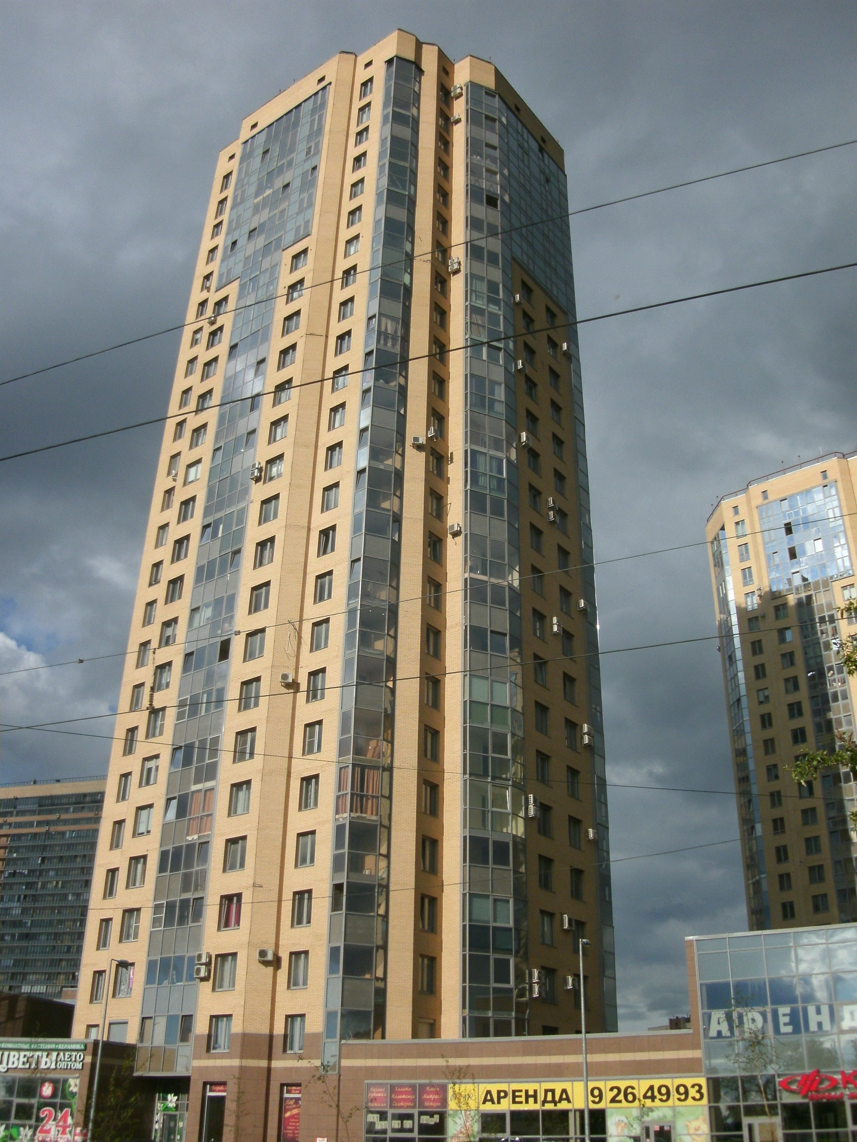 Выборгское шоссе 17к1, парадная 3 Выборгское шоссе 17к1, парадная 3