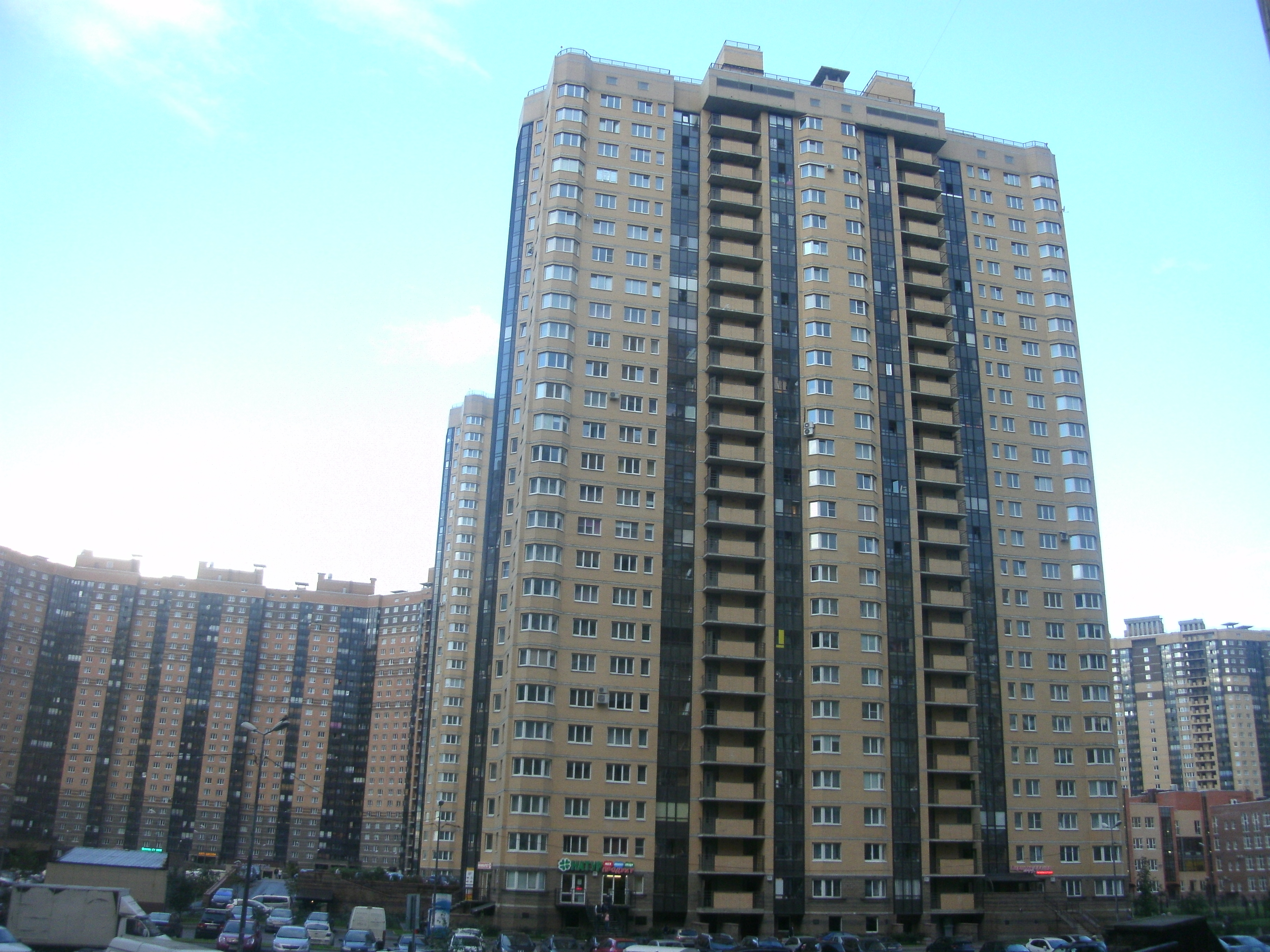 ул. Валерия Гаврилина 3к2, секция 1