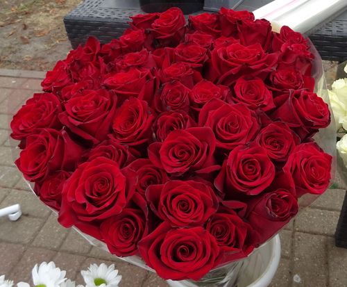 Розы - 5