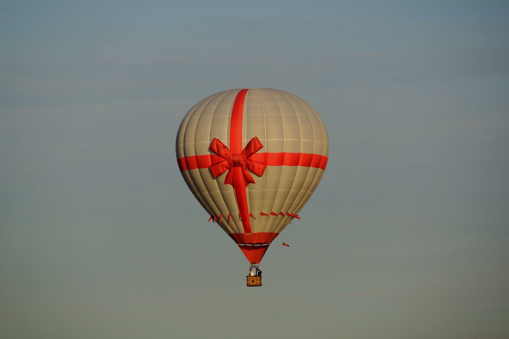 8d595ebb05.jpg