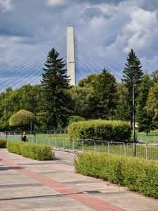 Ванты