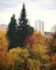 Золотая осень