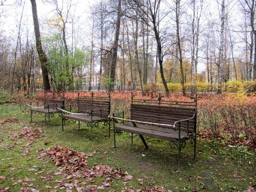 Скамейки в парке