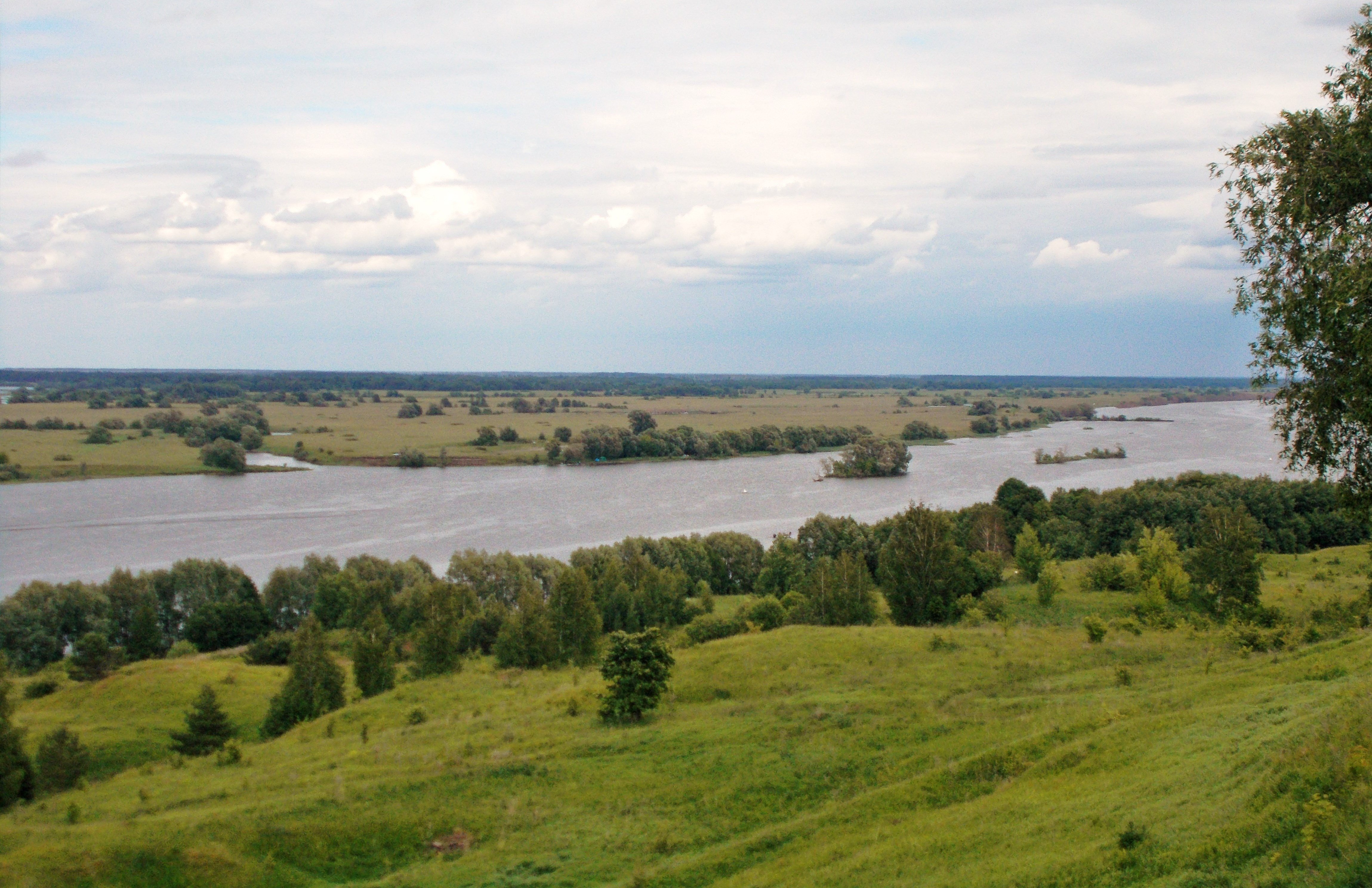 Река ока животные