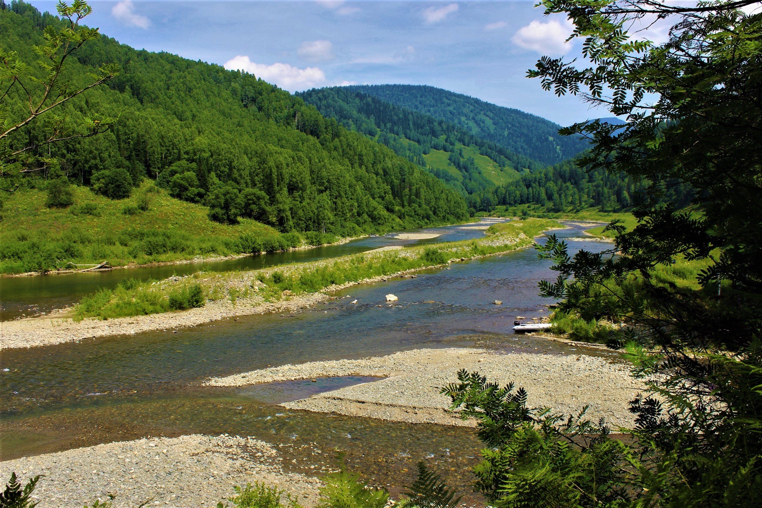 исток реки белая. река кубань в адыгее. река белая алтайский край курьинский район. побережье реки белой цур. малый амфитеатр река белая.